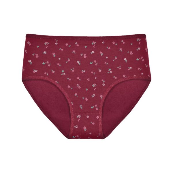 5 Pack Gaubert tailleslips voor dames "little flower" - Afbeelding 2