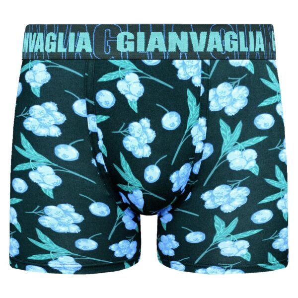 5 Pack Gianvaglia boxershorts van soft cotton "summer fruit" - Afbeelding 3