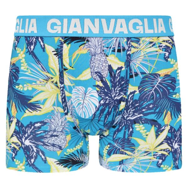 5 Pack Gianvaglia heren boxershorts "Fruity Fun" - Afbeelding 4