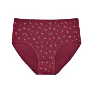 Alternative view of 5 Pack Gaubert tailleslips voor dames "little flower"