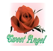 Naadloos ondergoed van Sweet Angel, de beste als het gaat om comfort.